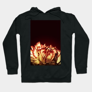 Carnation Flower Fire Hoodie